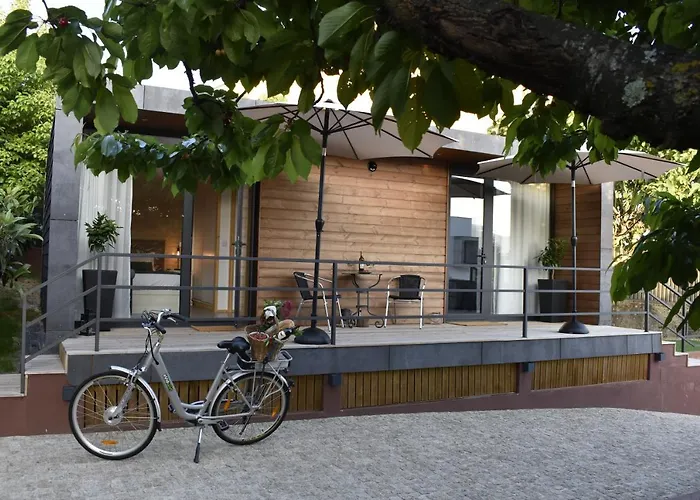 Mom - Mateus On Modular *